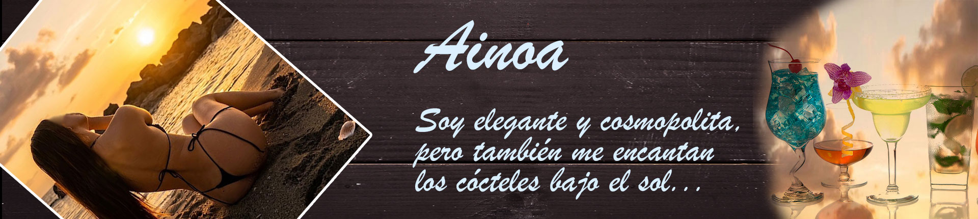 Banner Ainoa